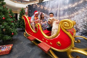 ChristmasInJuly.jpg