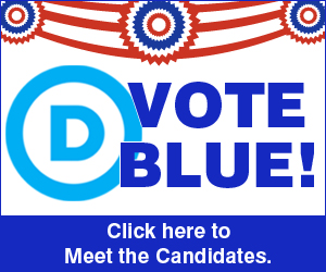 vote_blue_box-3.jpg